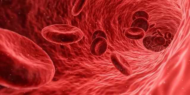 Tegning av røde blodceller i blodåre.